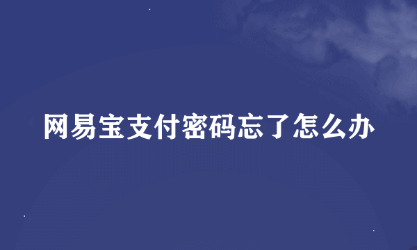 网易宝支付密码忘了怎么办