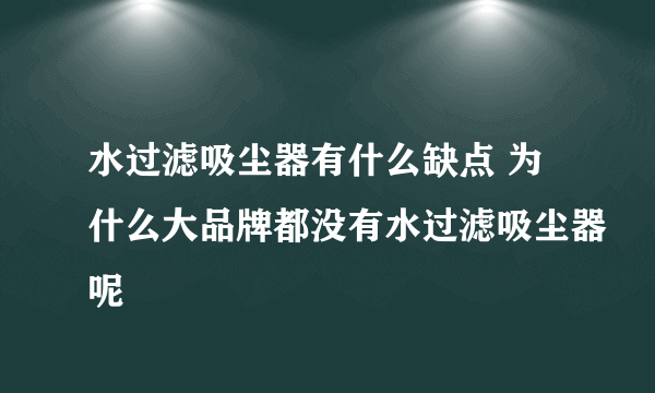水过滤吸尘器有什么缺点 为什么大品牌都没有水过滤吸尘器呢
