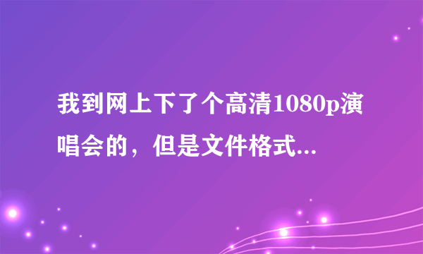 我到网上下了个高清1080p演唱会的，但是文件格式是AVI的，音频格式是DTS5.1的和2.1两种。