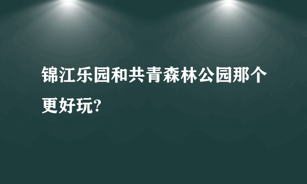 锦江乐园和共青森林公园那个更好玩?