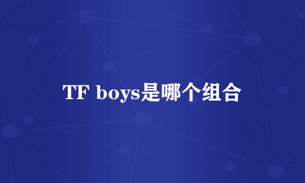 TF boys是哪个组合