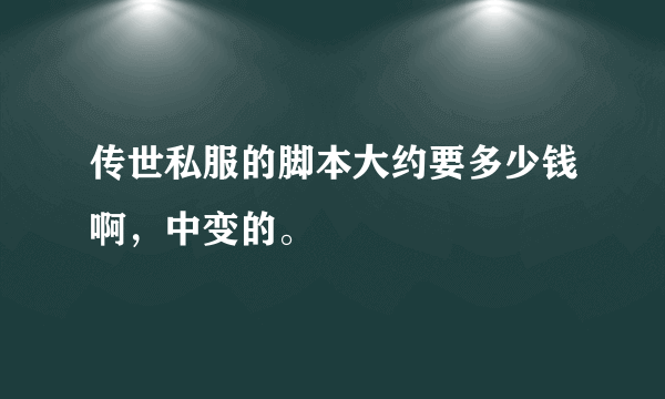 传世私服的脚本大约要多少钱啊，中变的。