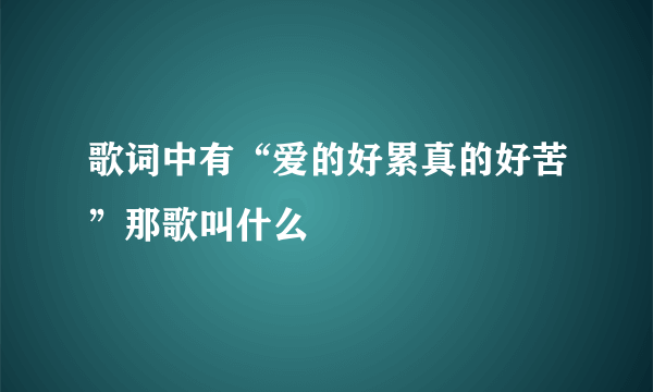 歌词中有“爱的好累真的好苦”那歌叫什么