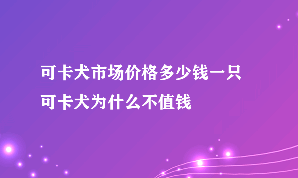 可卡犬市场价格多少钱一只 可卡犬为什么不值钱