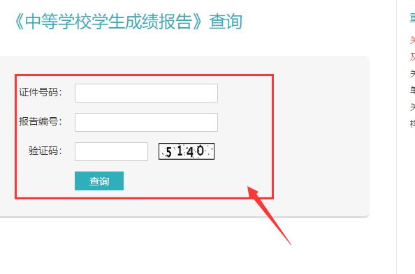 中学生成绩查询网站？