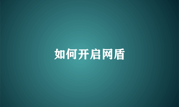 如何开启网盾