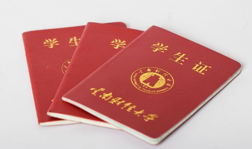 补办学生证申请怎么写