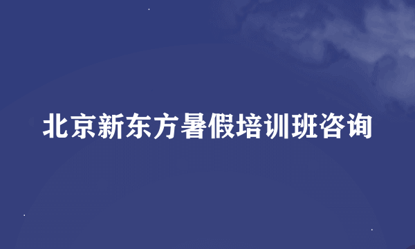北京新东方暑假培训班咨询