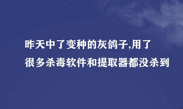 昨天中了变种的灰鸽子,用了很多杀毒软件和提取器都没杀到