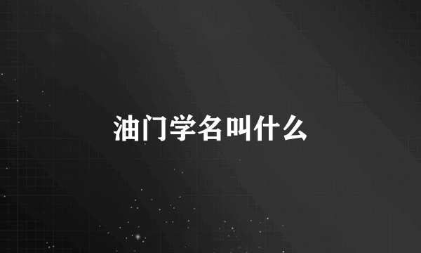 油门学名叫什么