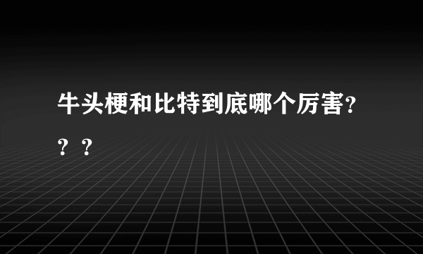 牛头梗和比特到底哪个厉害？？？