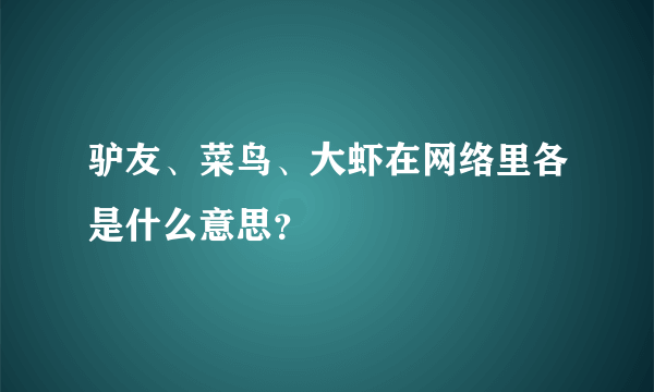 驴友、菜鸟、大虾在网络里各是什么意思？