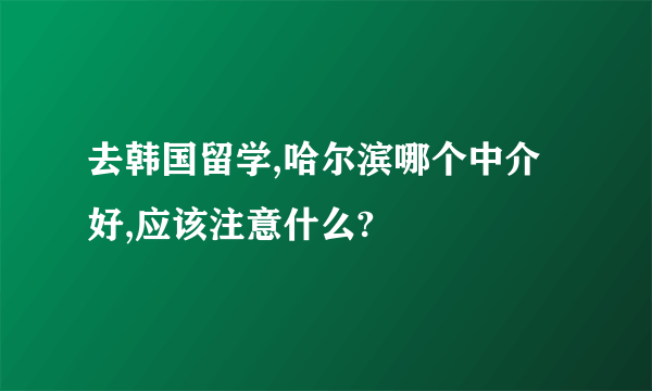 去韩国留学,哈尔滨哪个中介好,应该注意什么?