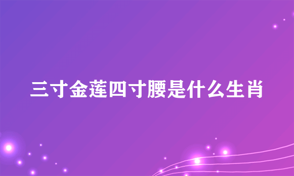 三寸金莲四寸腰是什么生肖