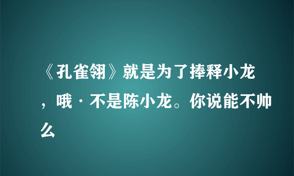 《孔雀翎》就是为了捧释小龙，哦·不是陈小龙。你说能不帅么