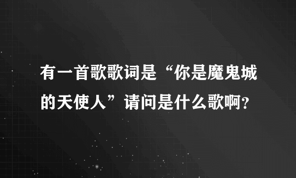 有一首歌歌词是“你是魔鬼城的天使人”请问是什么歌啊？