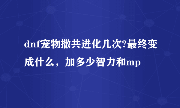 dnf宠物撒共进化几次?最终变成什么，加多少智力和mp