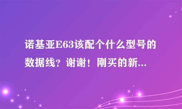 诺基亚E63该配个什么型号的数据线？谢谢！刚买的新手机，怎么快速入门，感觉有些玩不了！望高人指点。谢谢