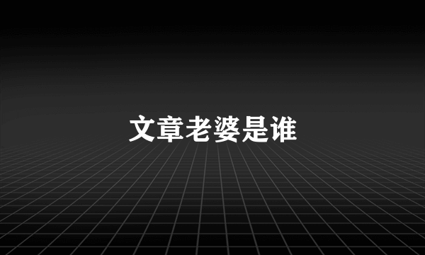 文章老婆是谁