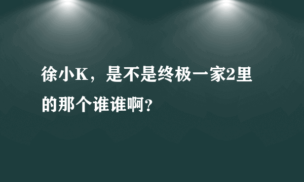 徐小K，是不是终极一家2里的那个谁谁啊？