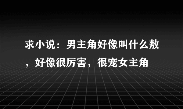 求小说：男主角好像叫什么敖，好像很厉害，很宠女主角
