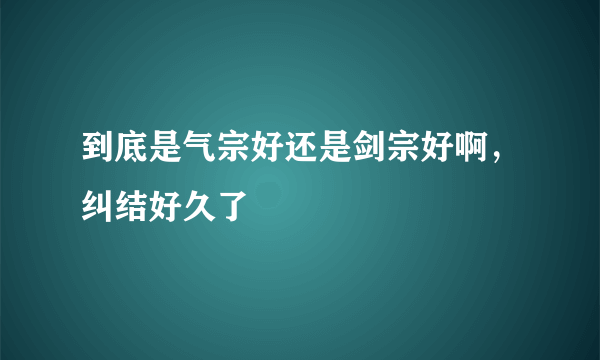 到底是气宗好还是剑宗好啊，纠结好久了