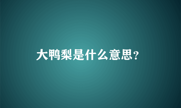 大鸭梨是什么意思？