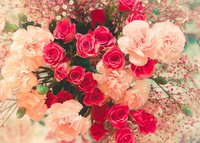 36朵玫瑰花代表什么意思？