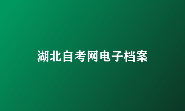 湖北自考网电子档案