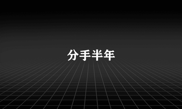 分手半年