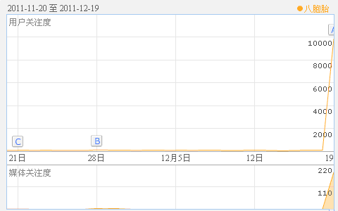八胞胎事件的调查结果