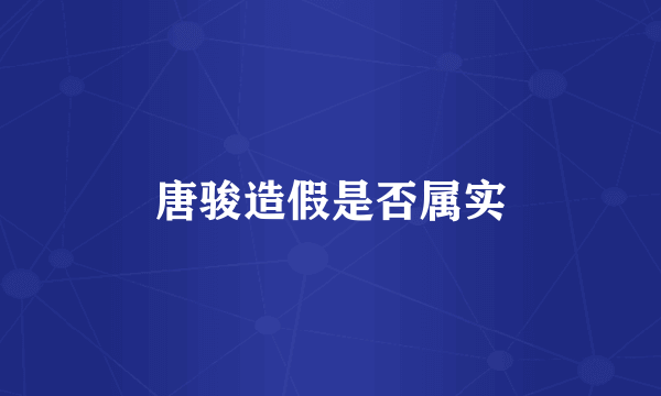 唐骏造假是否属实