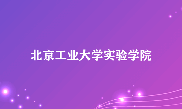 北京工业大学实验学院