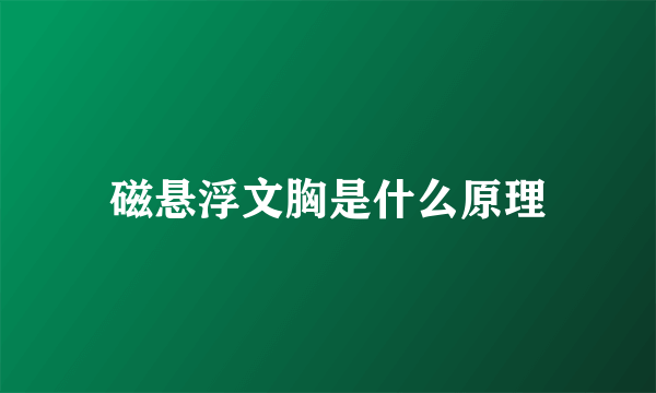 磁悬浮文胸是什么原理