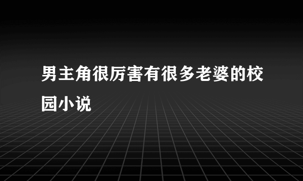 男主角很厉害有很多老婆的校园小说