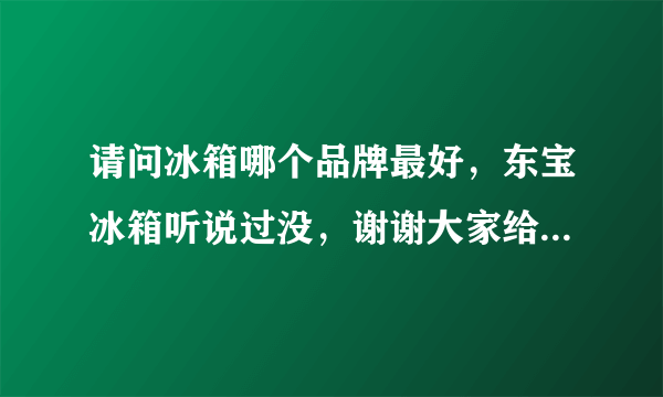 请问冰箱哪个品牌最好，东宝冰箱听说过没，谢谢大家给点建议个意见。