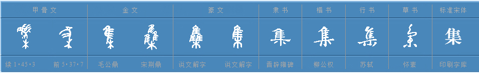 “集”字的繁体字怎么写？