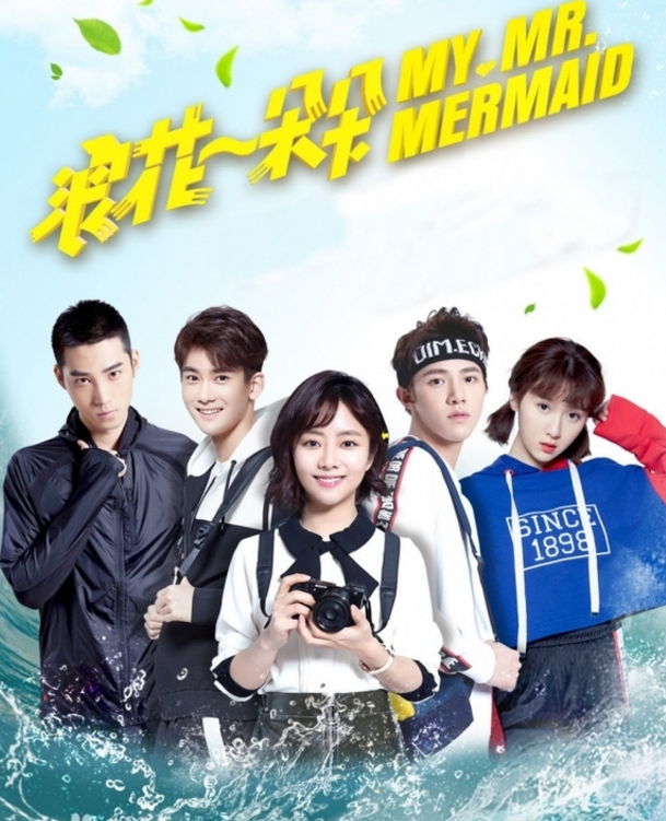 电视剧《浪花一朵朵》什么时候播出？