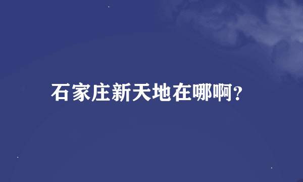 石家庄新天地在哪啊？