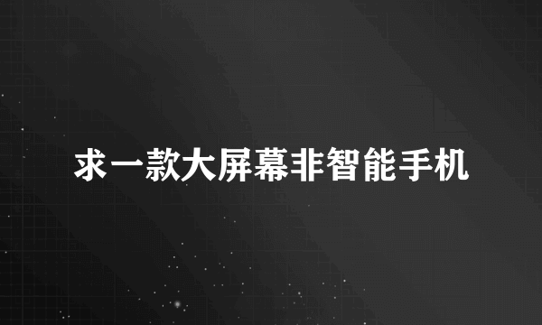 求一款大屏幕非智能手机