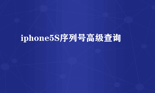 iphone5S序列号高级查询