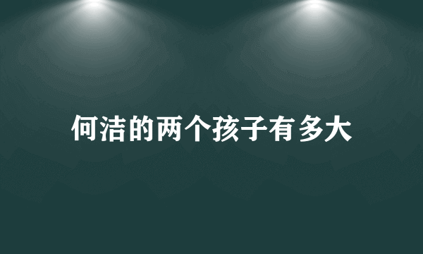 何洁的两个孩子有多大