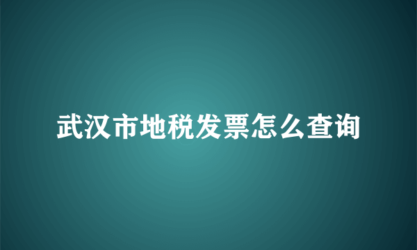 武汉市地税发票怎么查询