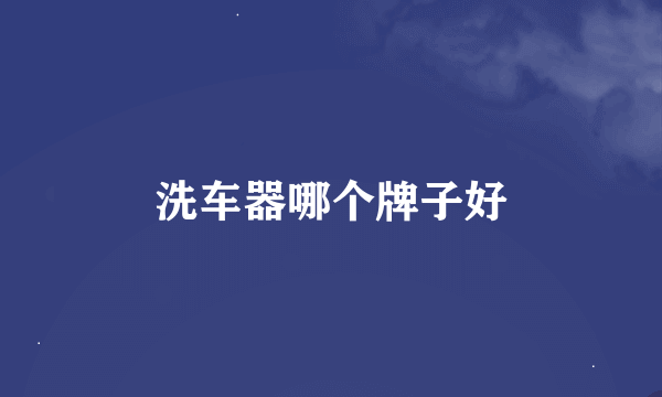 洗车器哪个牌子好