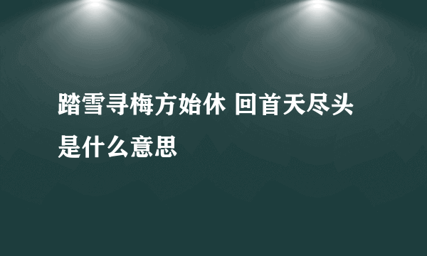 踏雪寻梅方始休 回首天尽头 是什么意思