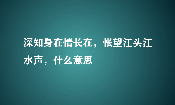 深知身在情长在，怅望江头江水声，什么意思