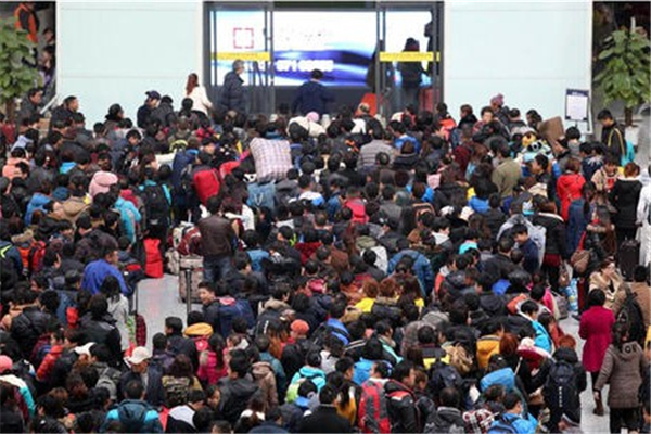 今年在学研究生将达300万人，今后的社会，没有学历的人该何去何从？