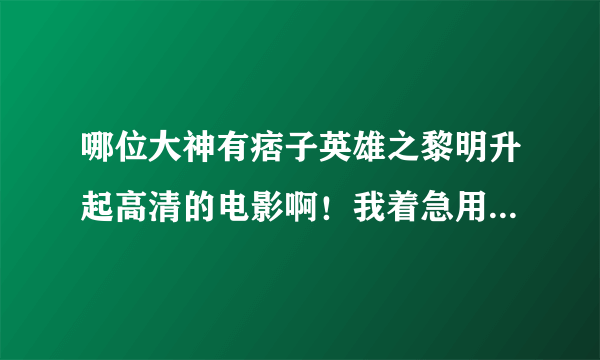 哪位大神有痞子英雄之黎明升起高清的电影啊！我着急用，迅雷下载的不清楚。谢谢大神们啊