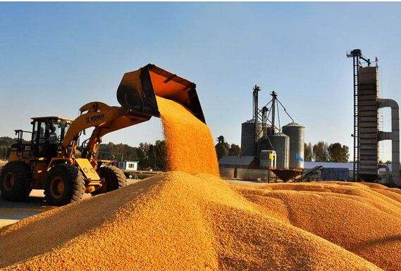 玉米价格每吨涨千元，玉米价格大幅度上涨的原因是什么？