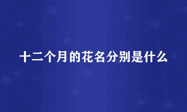 十二个月的花名分别是什么